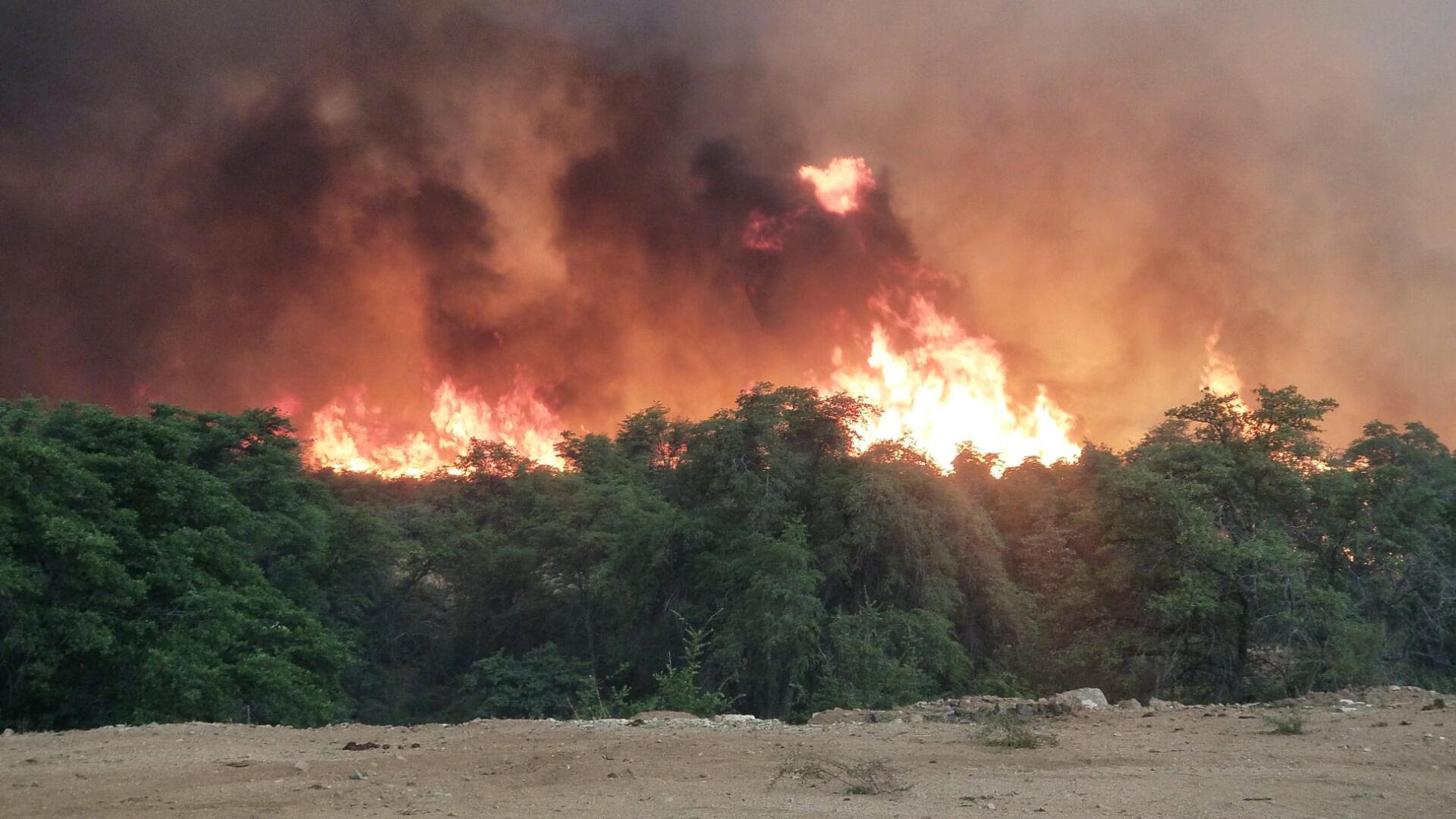 Telegraph Fire, Arizona